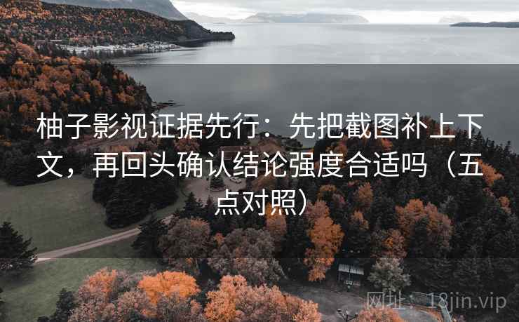 柚子影视证据先行：先把截图补上下文，再回头确认结论强度合适吗（五点对照）